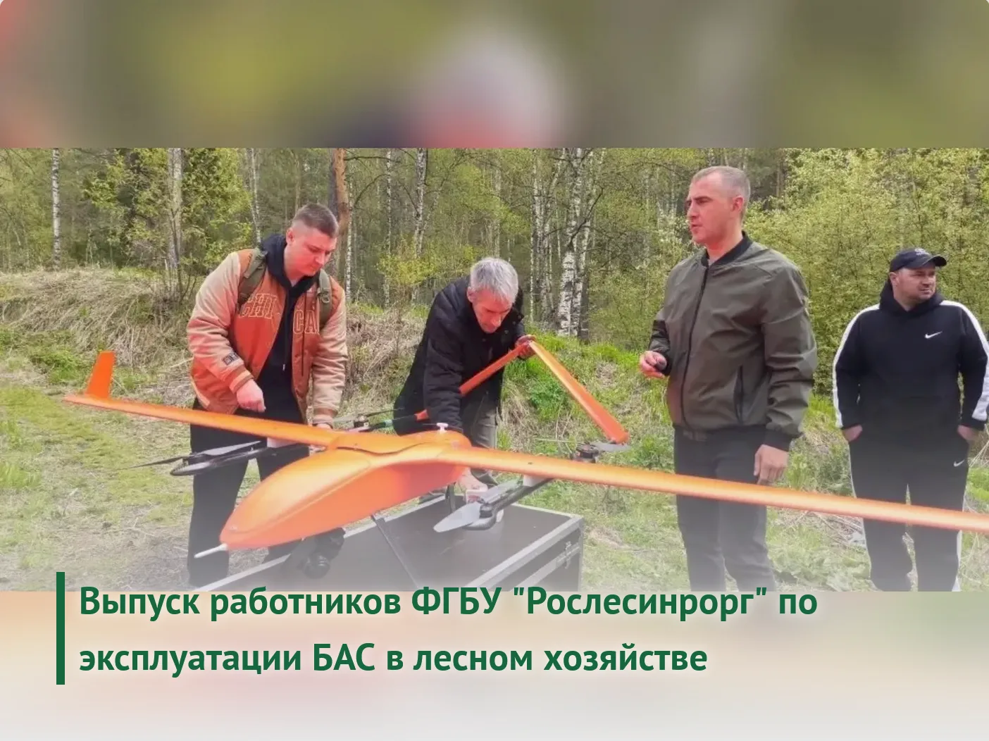 29 мая 2026 года 6 сотрудников из 5 филиалов ФГБУ «Рослесинфорг» успешно завершили обуч...