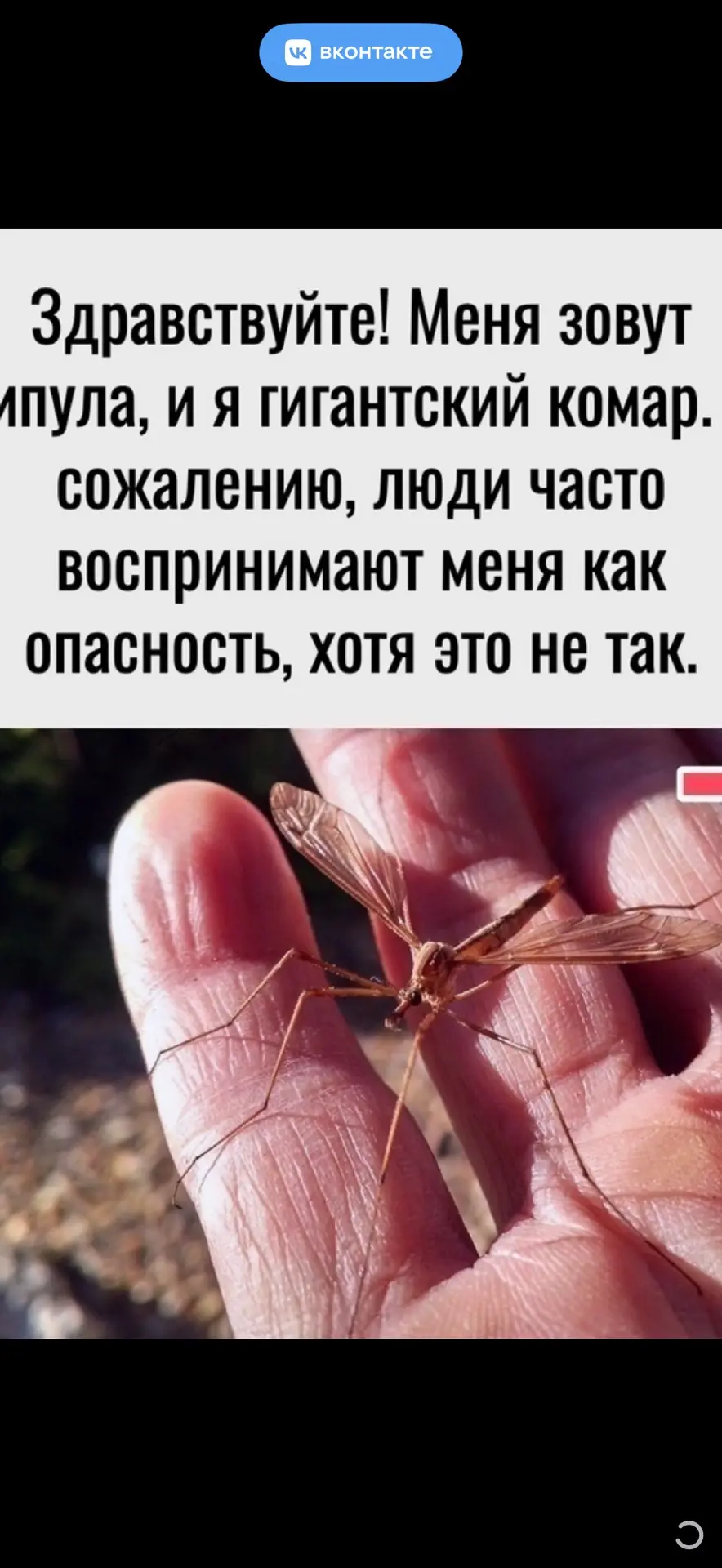 Кисызаи, вот что мне прислали ✨Так что переобуваемся и этих бережем ✨♥️