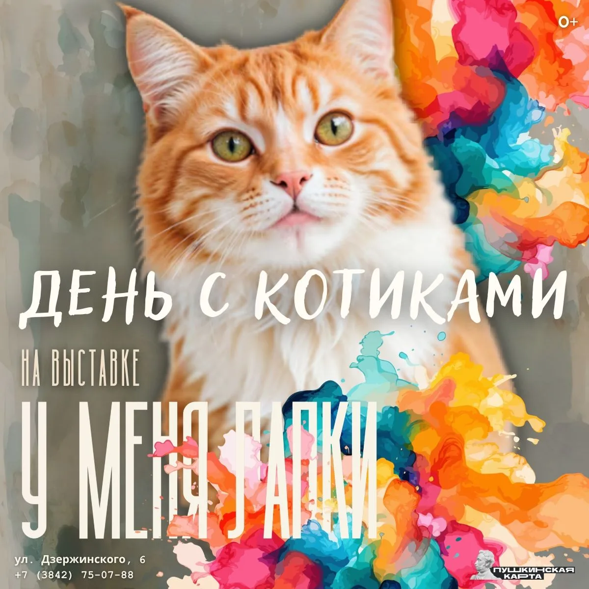 🐾 «У меня лапки»: ещё один день с котиками!

Помните Алину — кошечку, которой повезло найти новых х