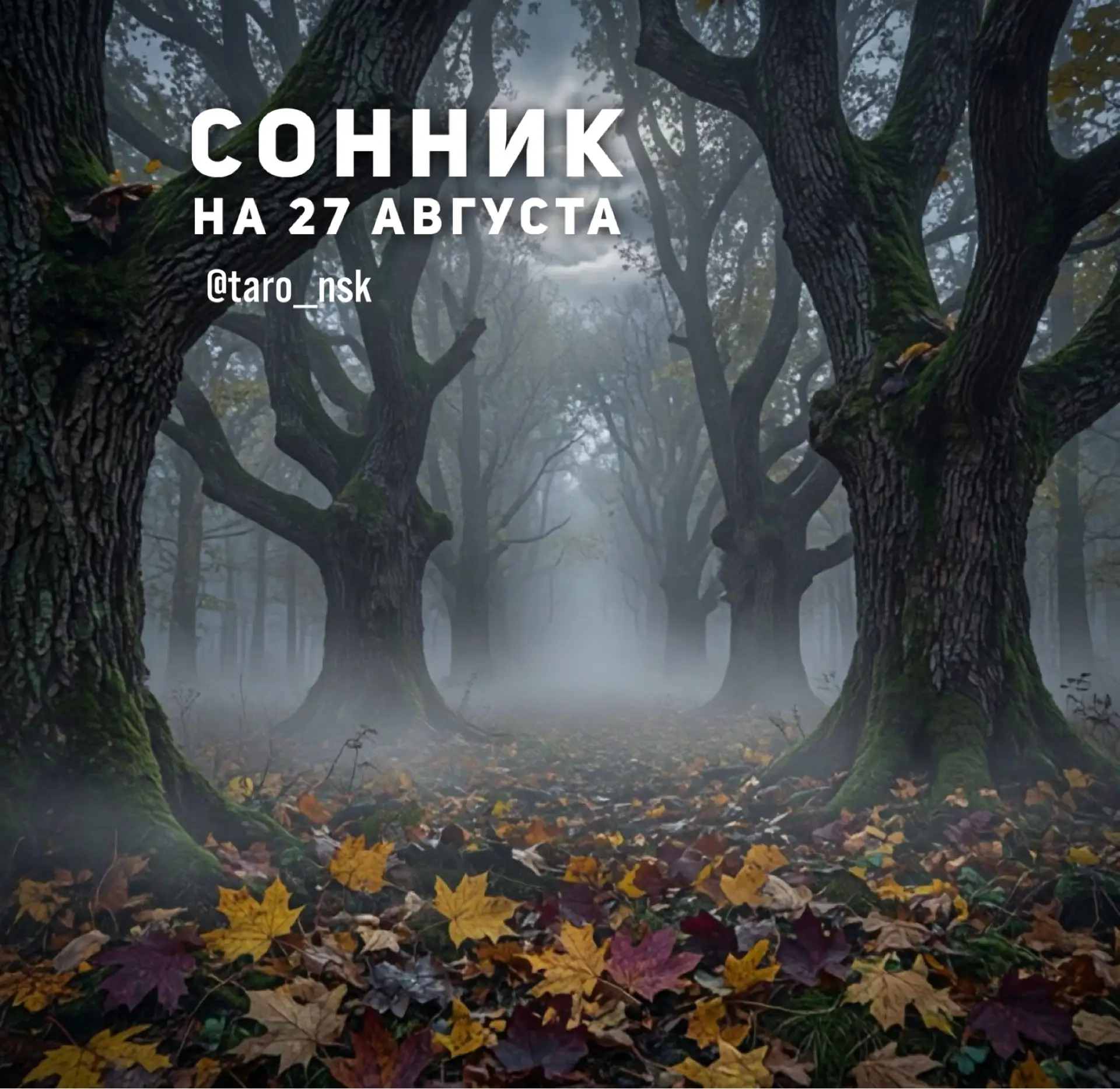 🌜Сонник на  2️⃣7️⃣августа🌛