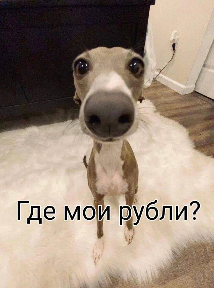 💰 День «Переведите деньги дочери» празднуют сегодня