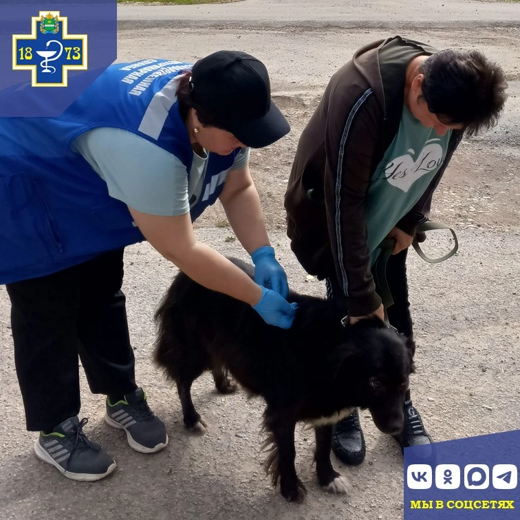 🐾 Ветеринарные будни специалистов Сухиничского отдела ГБУ КО "Сухиничская межрайонная ...