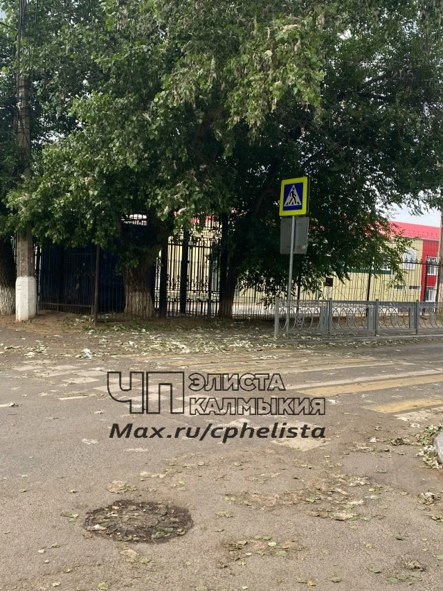 ❗️Здравствуйте! Улица Сусеева в таком страшном состоянии,неужели хотя бы в праздничный день, нельзя 