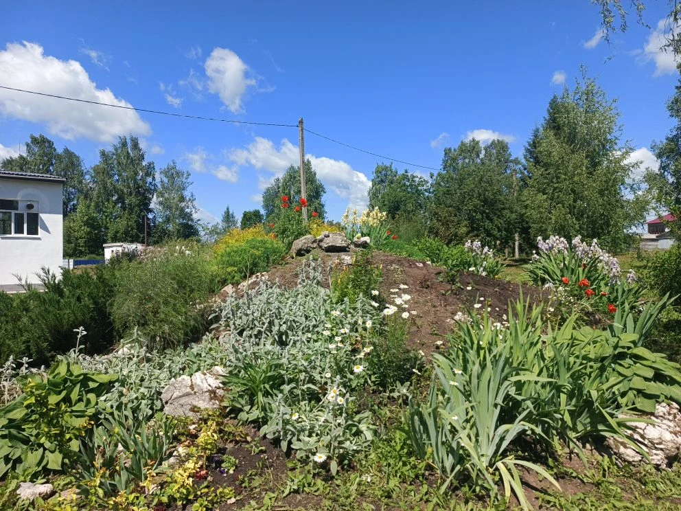 Уже вторую неделю продолжается работа нашего трудового десанта! 🧑‍🌾