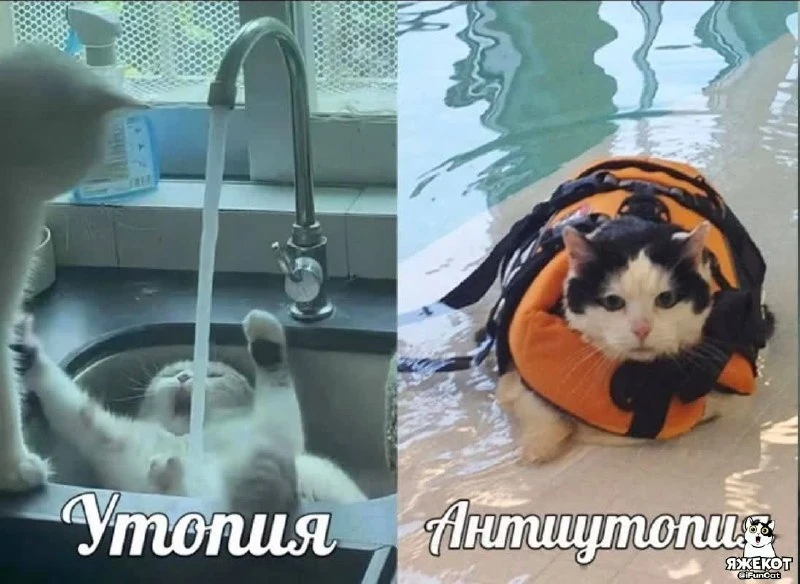 🐾 ЯЖЕКОТ