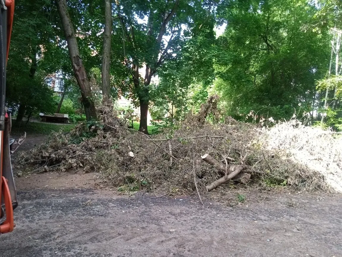 🌳 Уборка веток по ул. Твардовского 🏡 
 
Уважаемые жители! Информируем вас о том, что на минувшей н