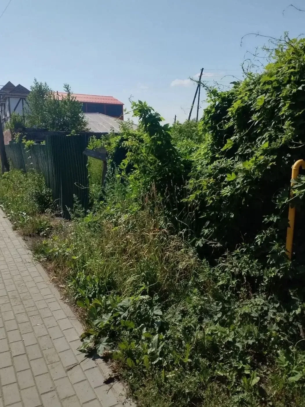 Онгудай | Горно-Алтайск | Майма | Чемал🏡

Уют нашего любимого города среди гор 🏔️ зависит от каждо