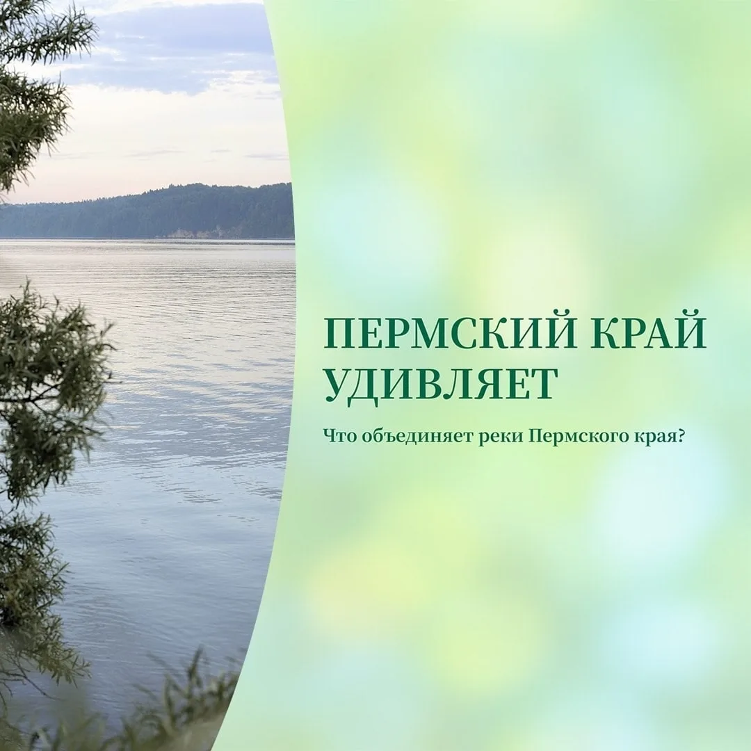 🌊 Что объединяет крупные реки в Пермском крае?