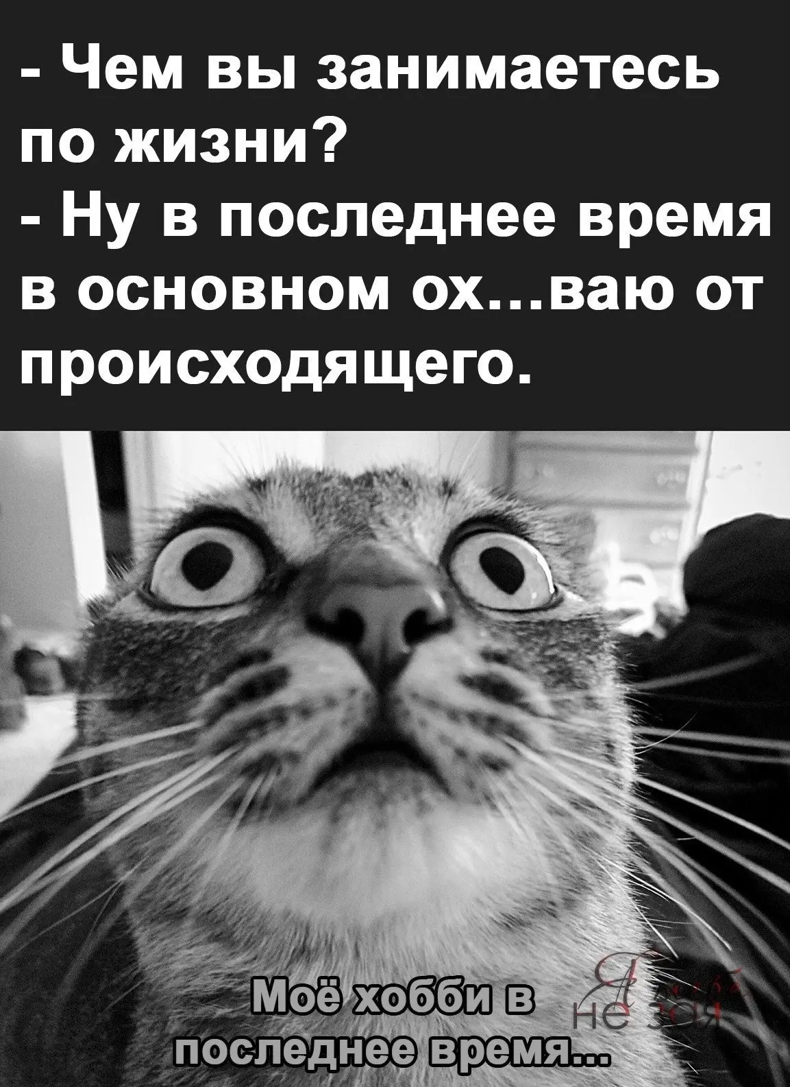 🇷🇺  Мы в МАХ : https://max.ru/public217683068