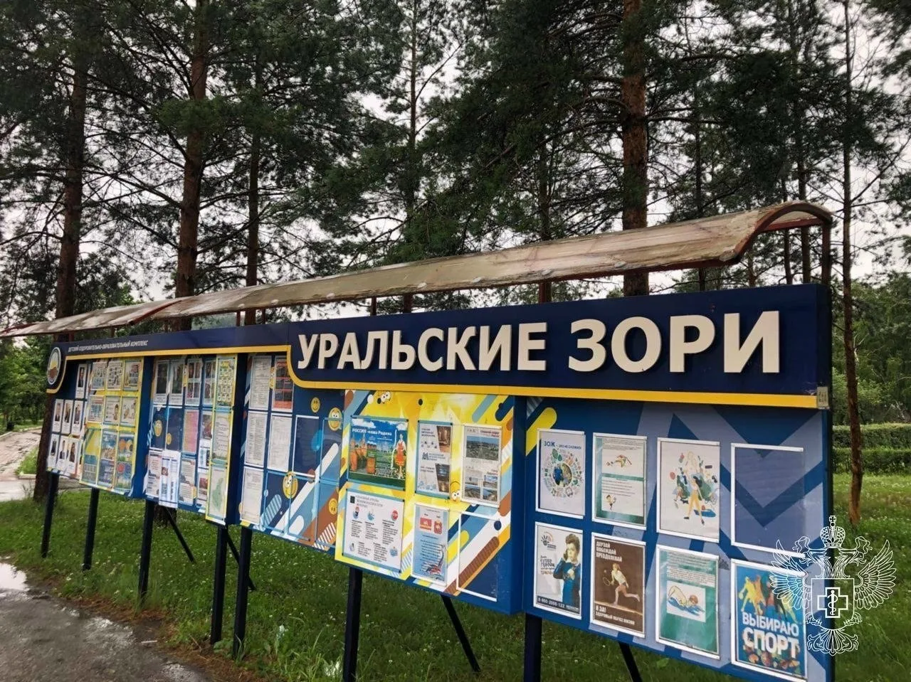 ⚠️ Роспотребнадзор нашел причину отравления детей в лагере  Надзорное ведомство подозревает, что пос