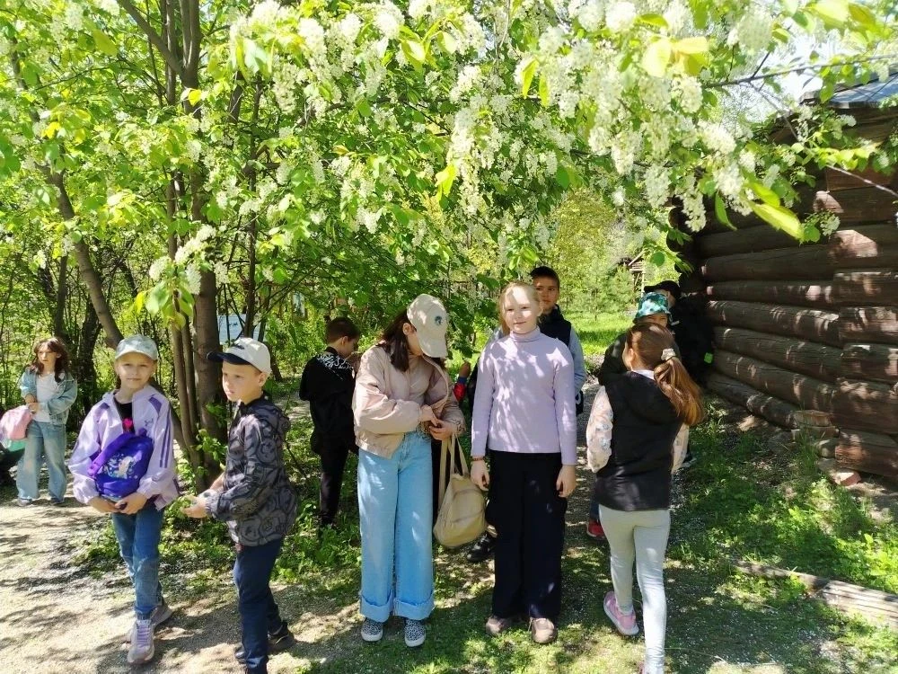Сегодня обучающиеся нашей школы (2Б, 2Г, 3Б, 3Д и 3Е классов) ездили на экскурсию в "Ботанический са