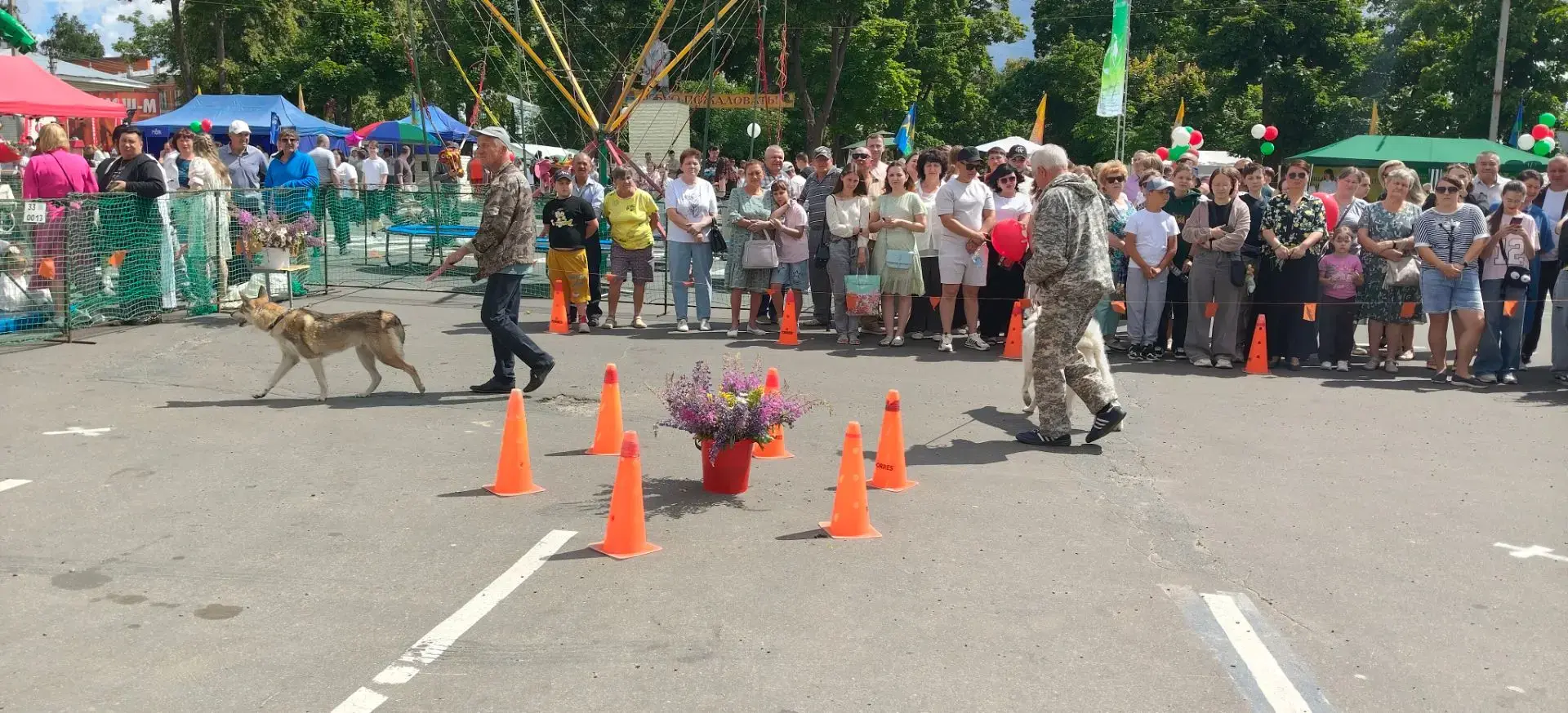 В минувшую субботу, в День города Меленки, по доброй традиции состоялась выставка собак! И, конечно 