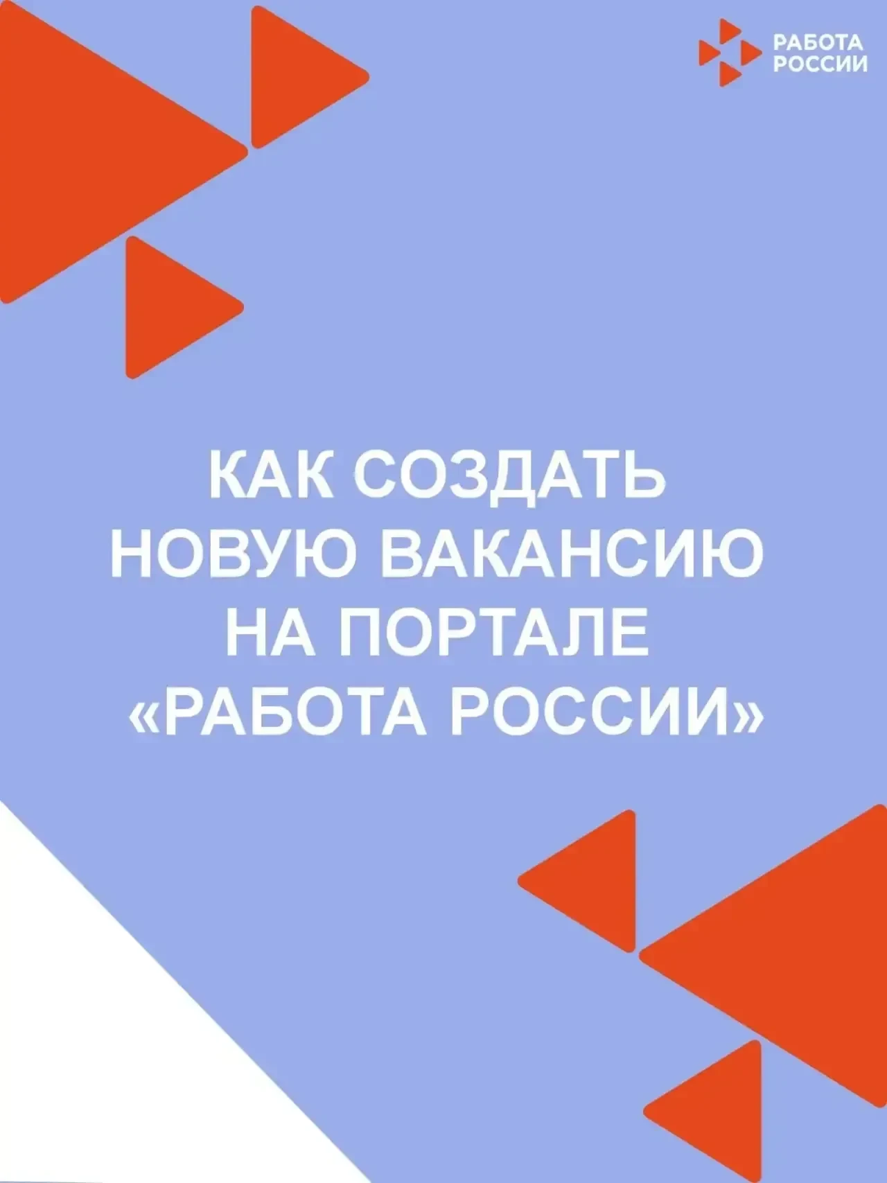 Работодатели Дагестана: пошаговая инструкция по работе с порталом «Работа России»