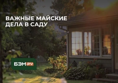 🌿 Важные майские дела в саду