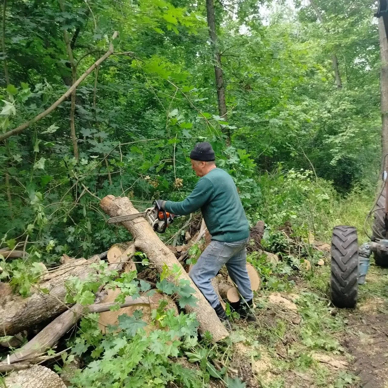 🌳 В парке-усадьбе села Еленовка Россошанского района провели экологический субботник.