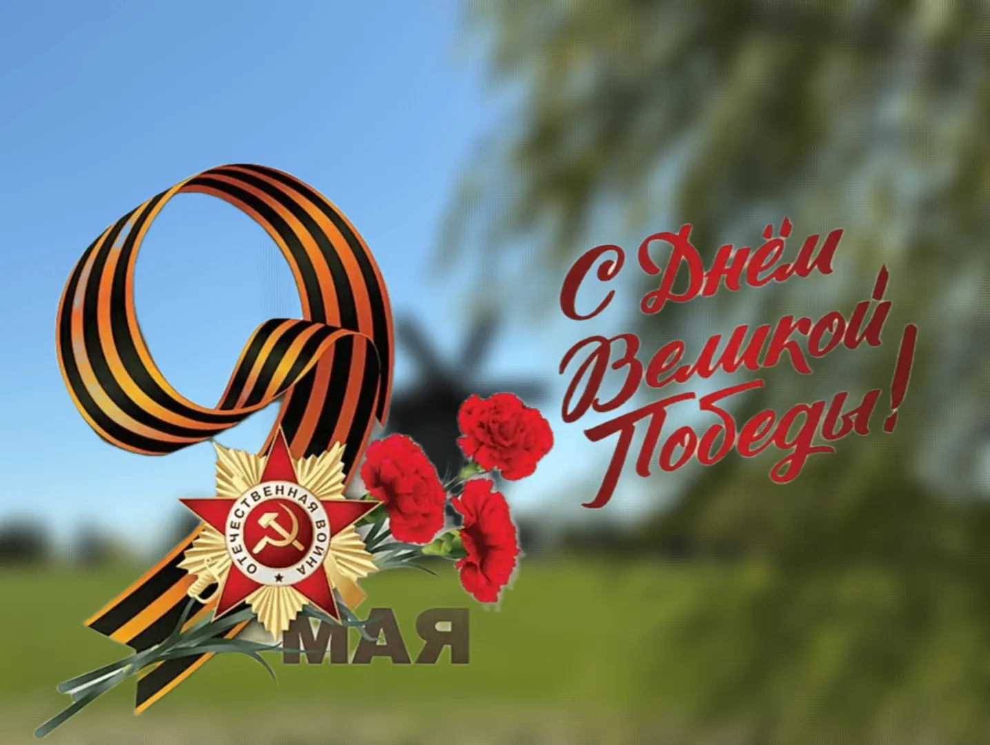 Дорогие друзья!