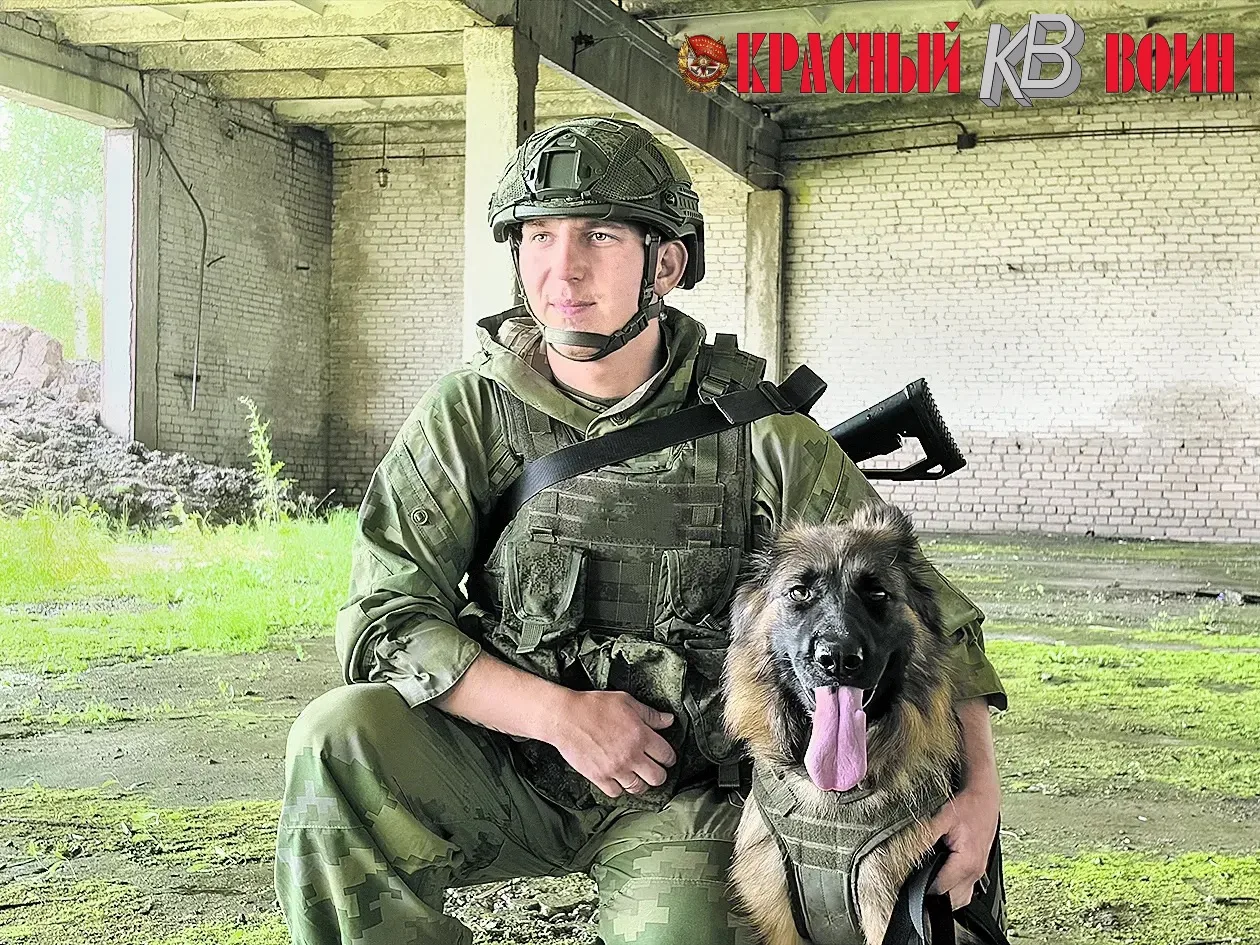 Четвероногие бойцы