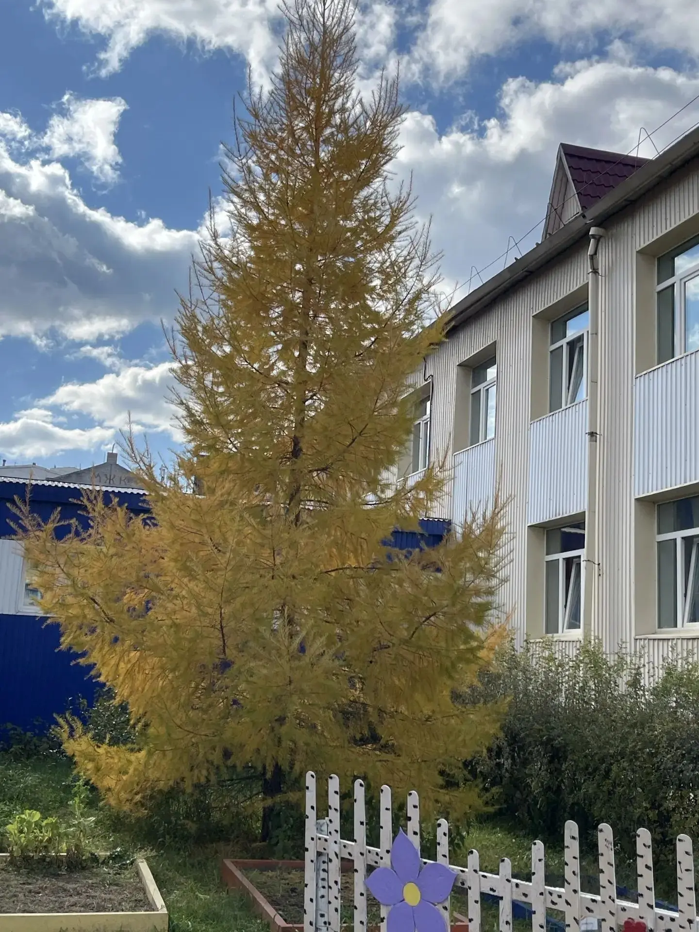 Всем доброго утра друзья, отличного осеннего настроения, хорошего дня 🍁🍁🍁
