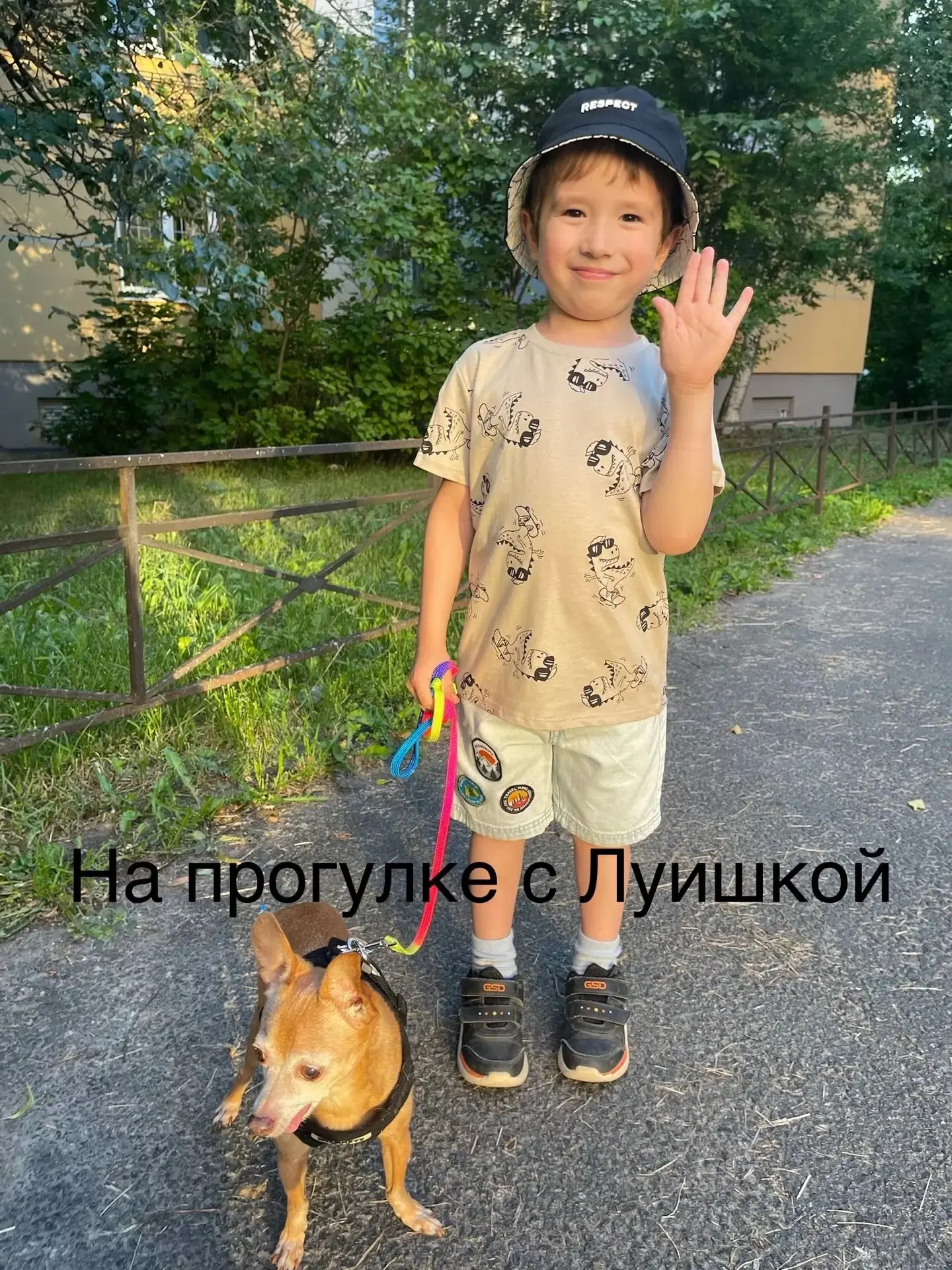 Знакомьтесь, это Луи!