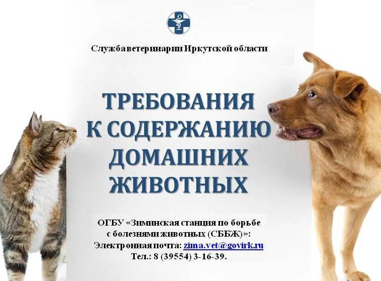 С 1 сентября 2023 года в Иркутской области вступили в силу дополнительные требования к ...