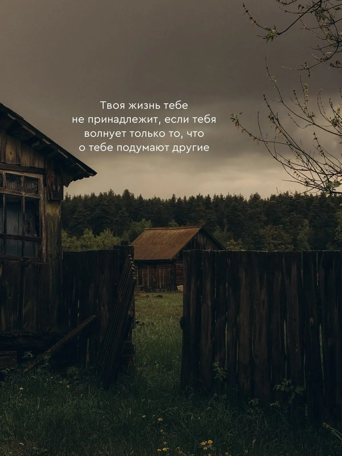Истина