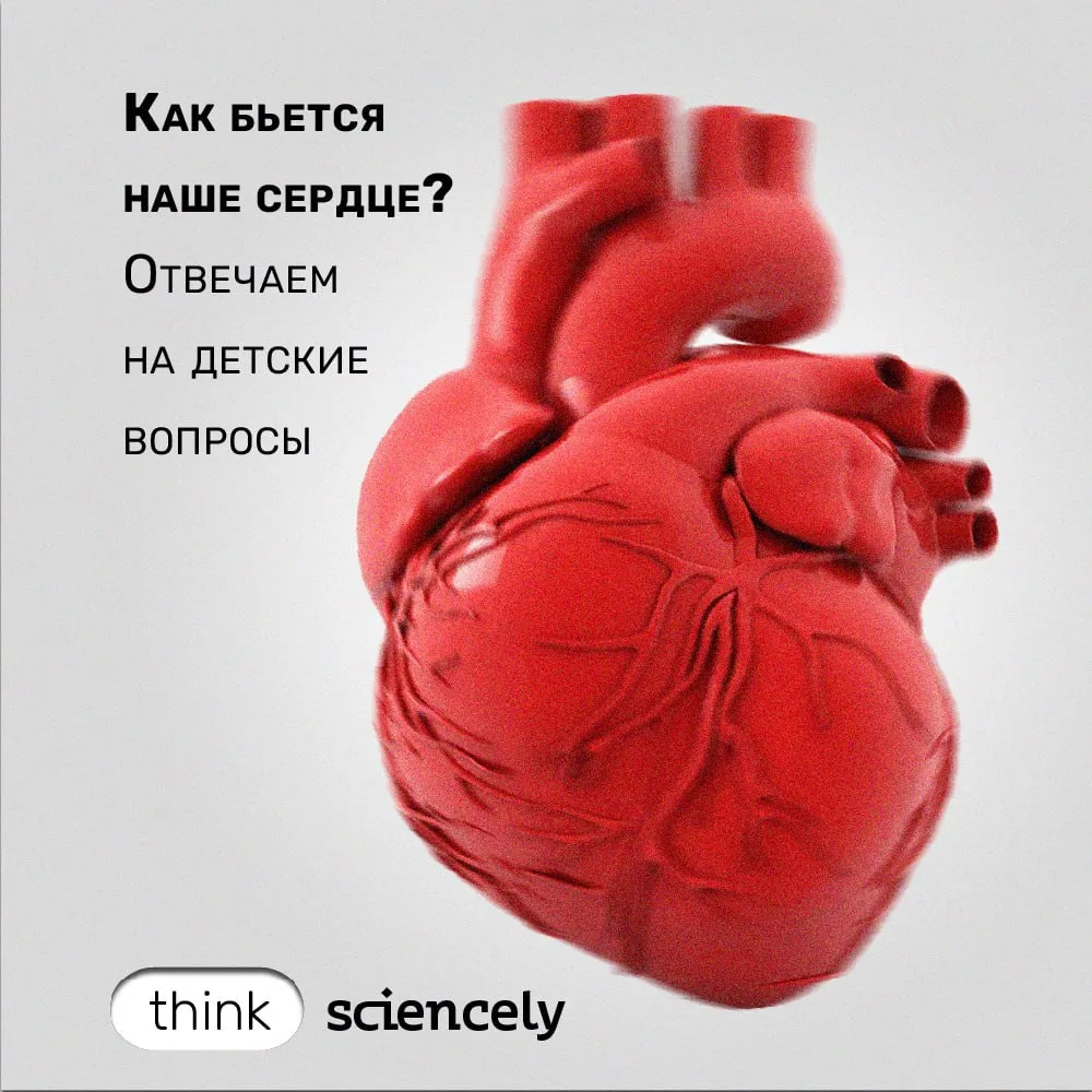 ❤️ Сердце бьётся 60 раз в минуту, 60 минут в час, 24 часа в сутки и 365 дней в году. Эт...
