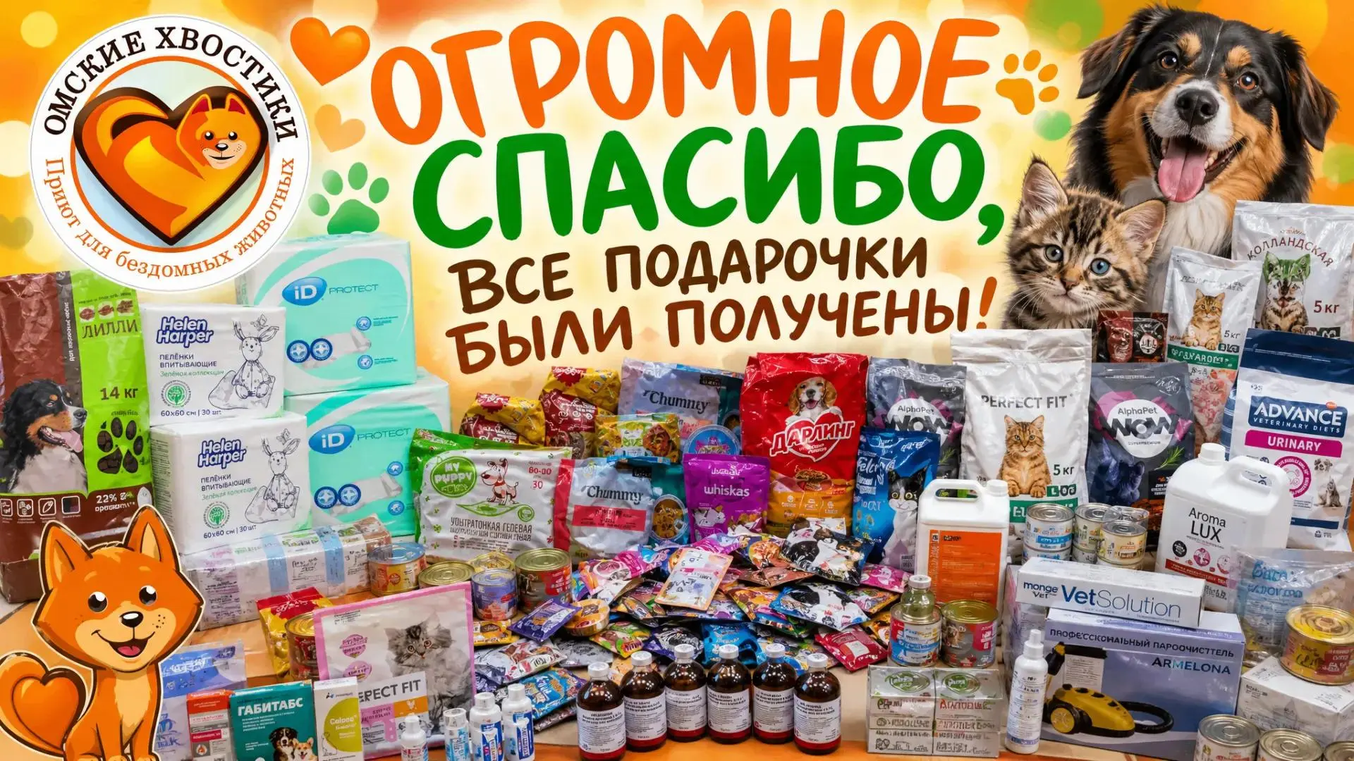 Как любовь подписчиков творит настоящие чудеса в приюте! ❤ Вы снова это сделали!