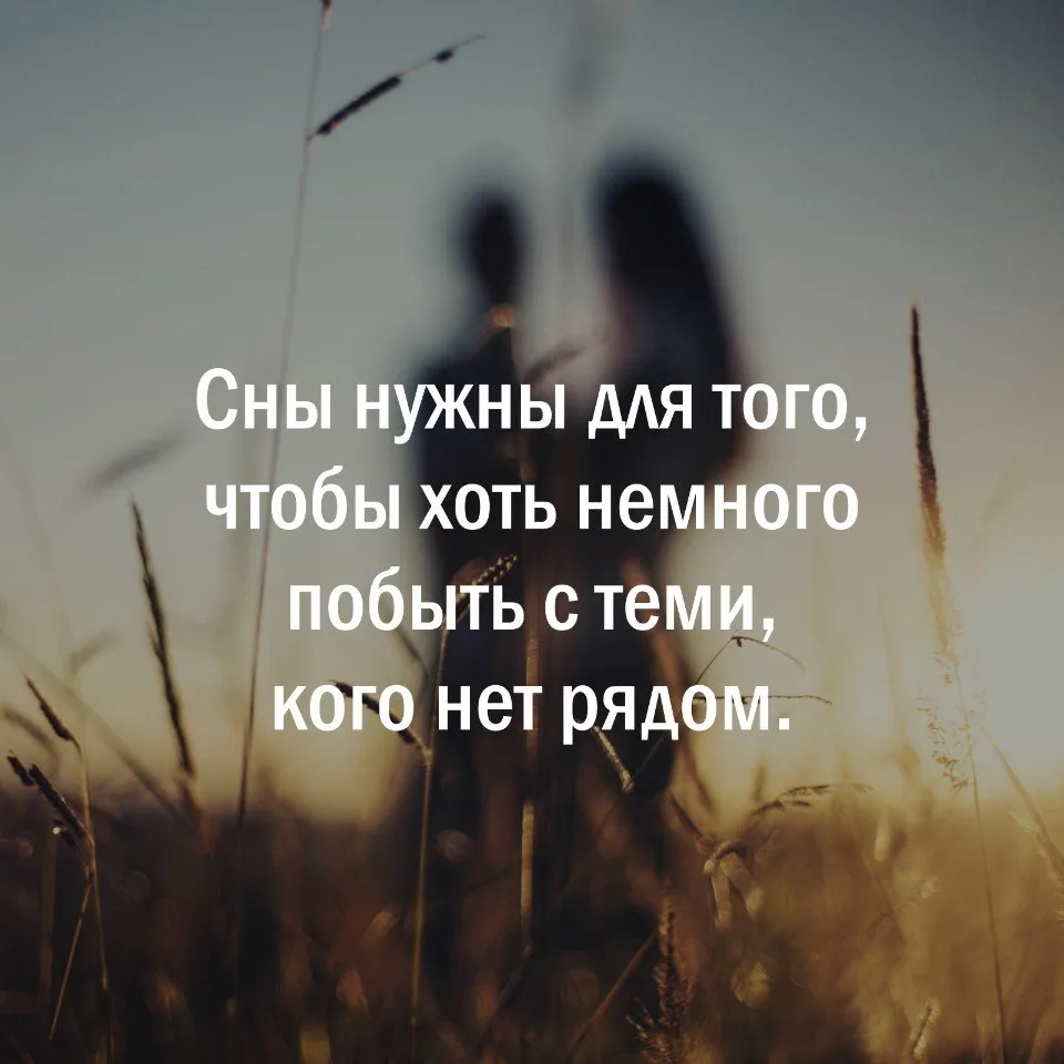 Мудрость слов | цитаты Мудрость слов | цитаты