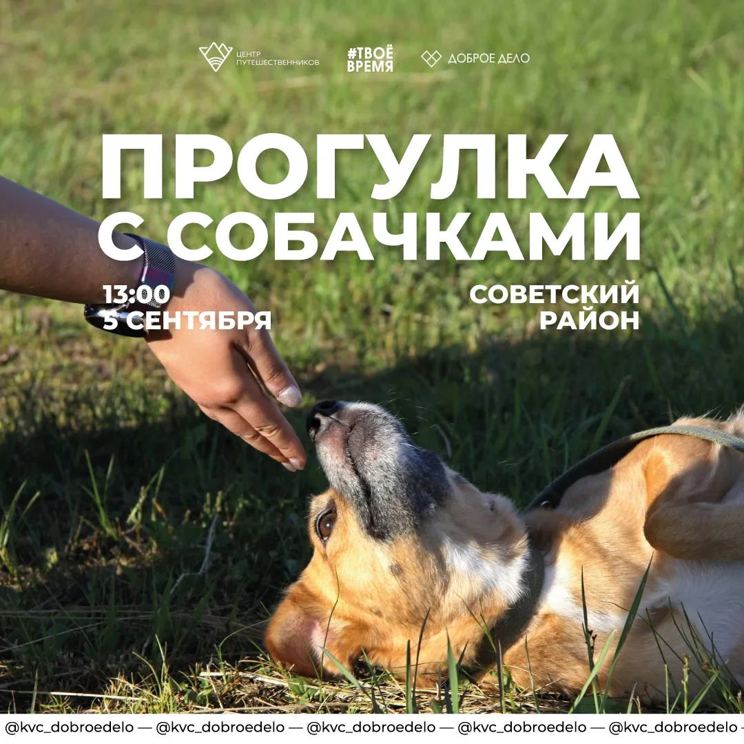🐾 Прогулка в парке приюта для собак «Поводог» с их пушистыми подопечными.