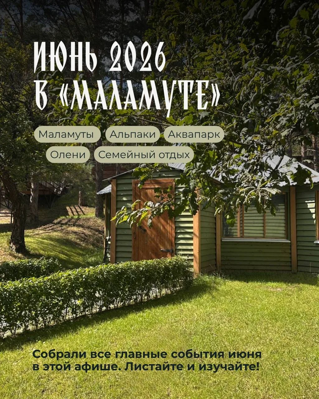 ИЮНЬ В «МАЛАМУТЕ»: АФИША СОБЫТИЙ