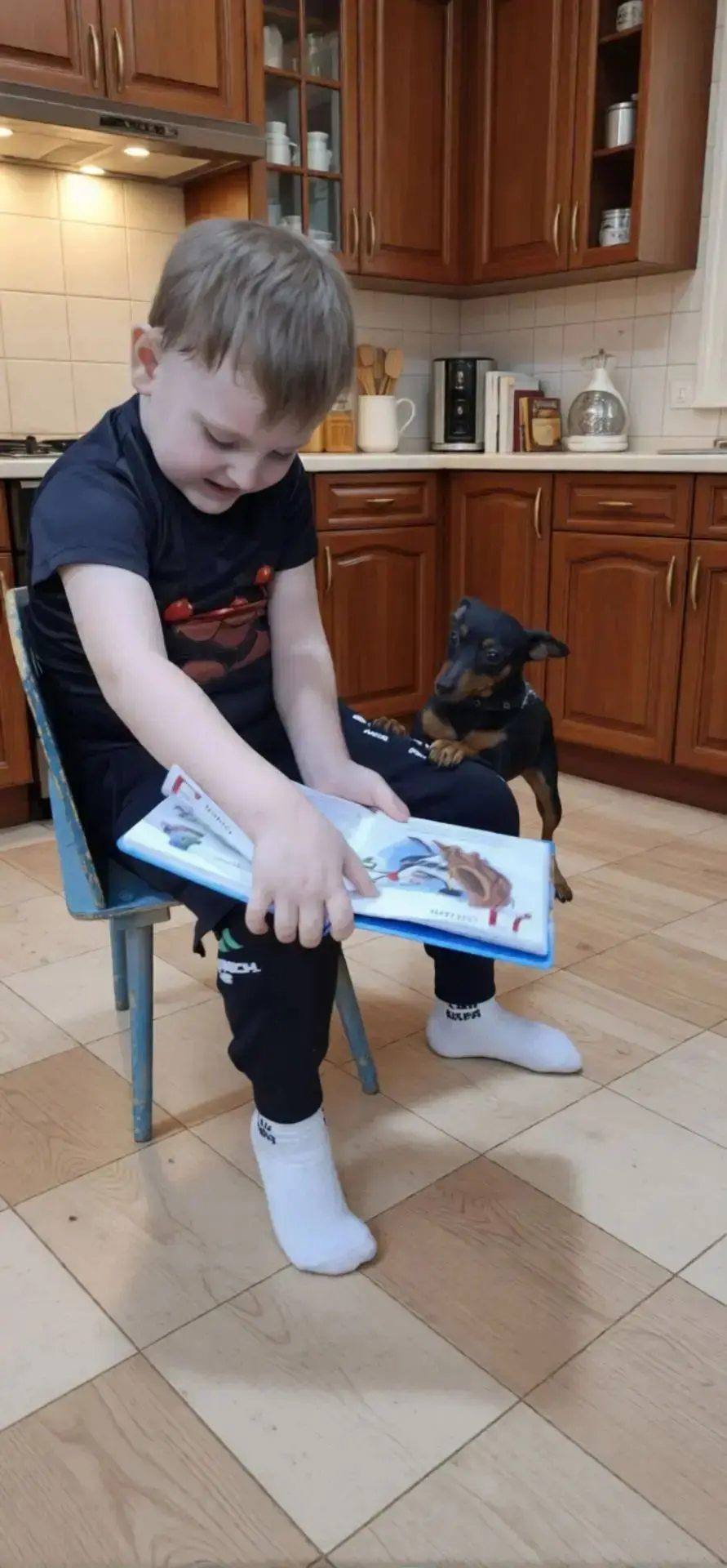 26 августа - День благодарности собаке.🐕
