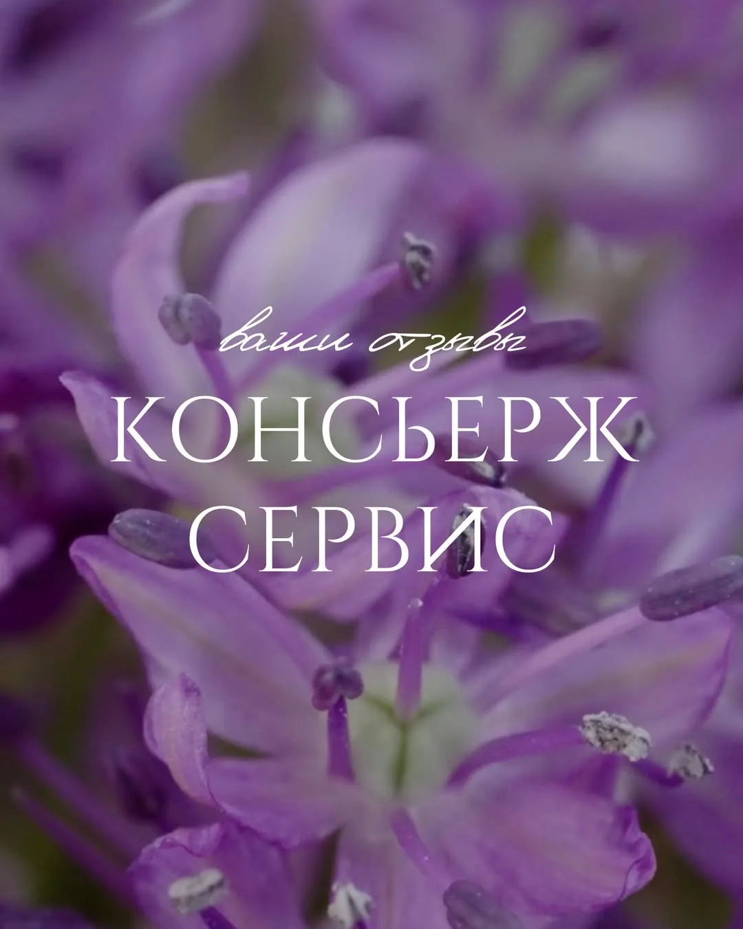 Дорогие клиенты 💓
