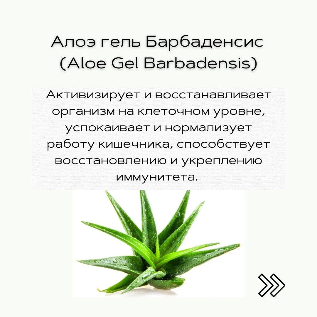 🍃 Алоэ Гель Барбаденсис (Aloe Cel Barbadensis) – чудо природы для вашего здоровья!