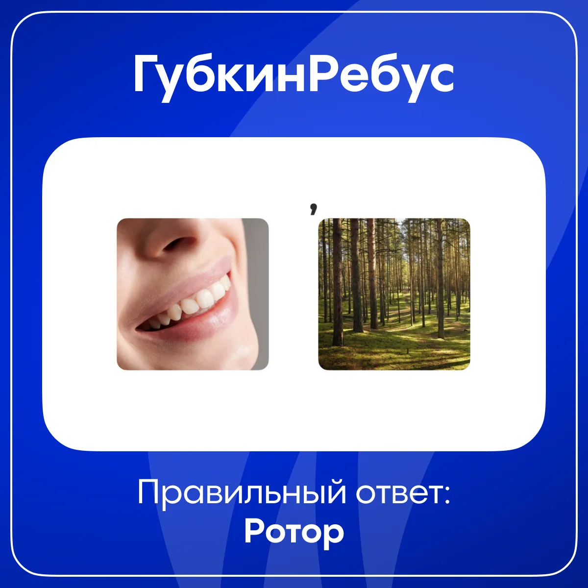 🌟 Вот и настало время подвести итоги этой недели в рубрике #ГубкинРебус 🥳