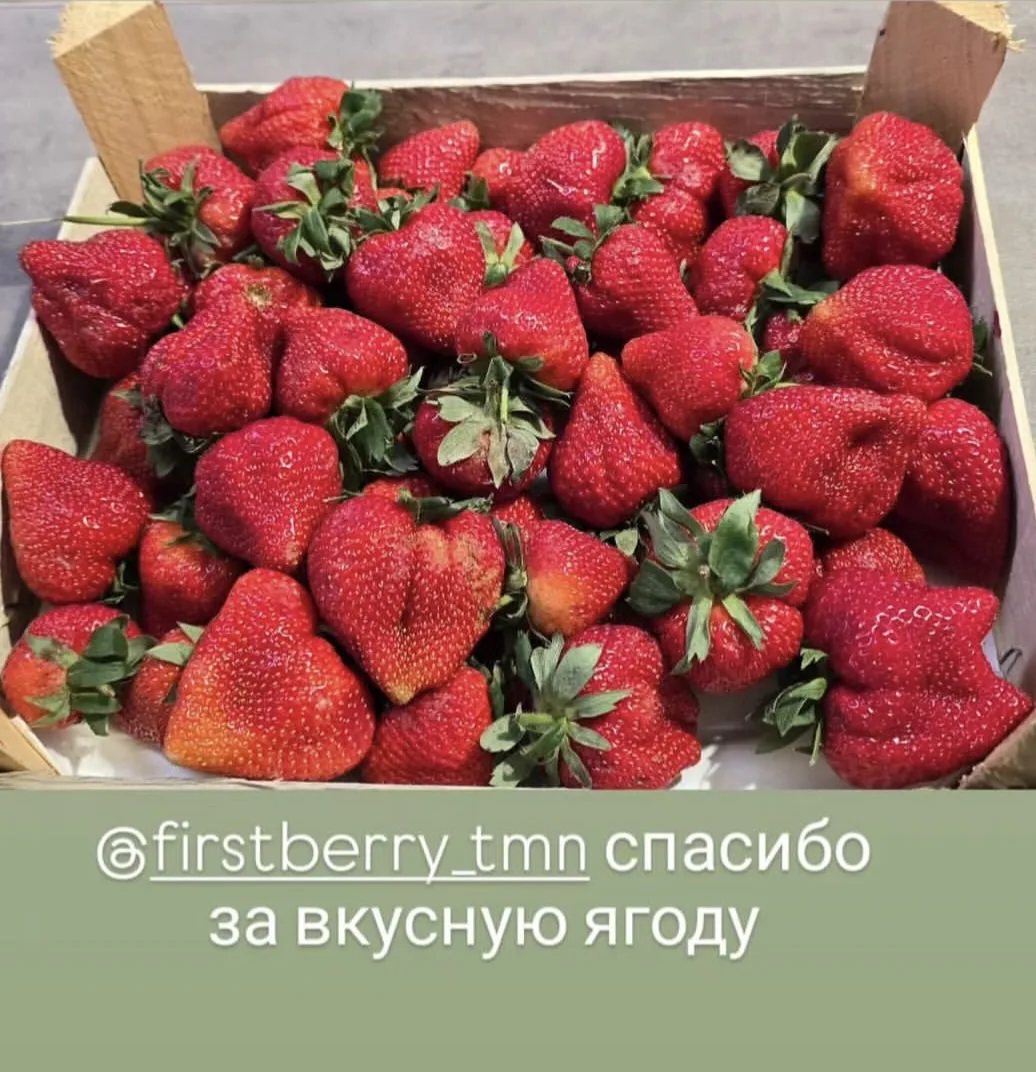 Благодарим всех за ваши отзывы ❤️ Нам очень приятно, что наши ягодки пришлись вам по вкусу!   Мы дей