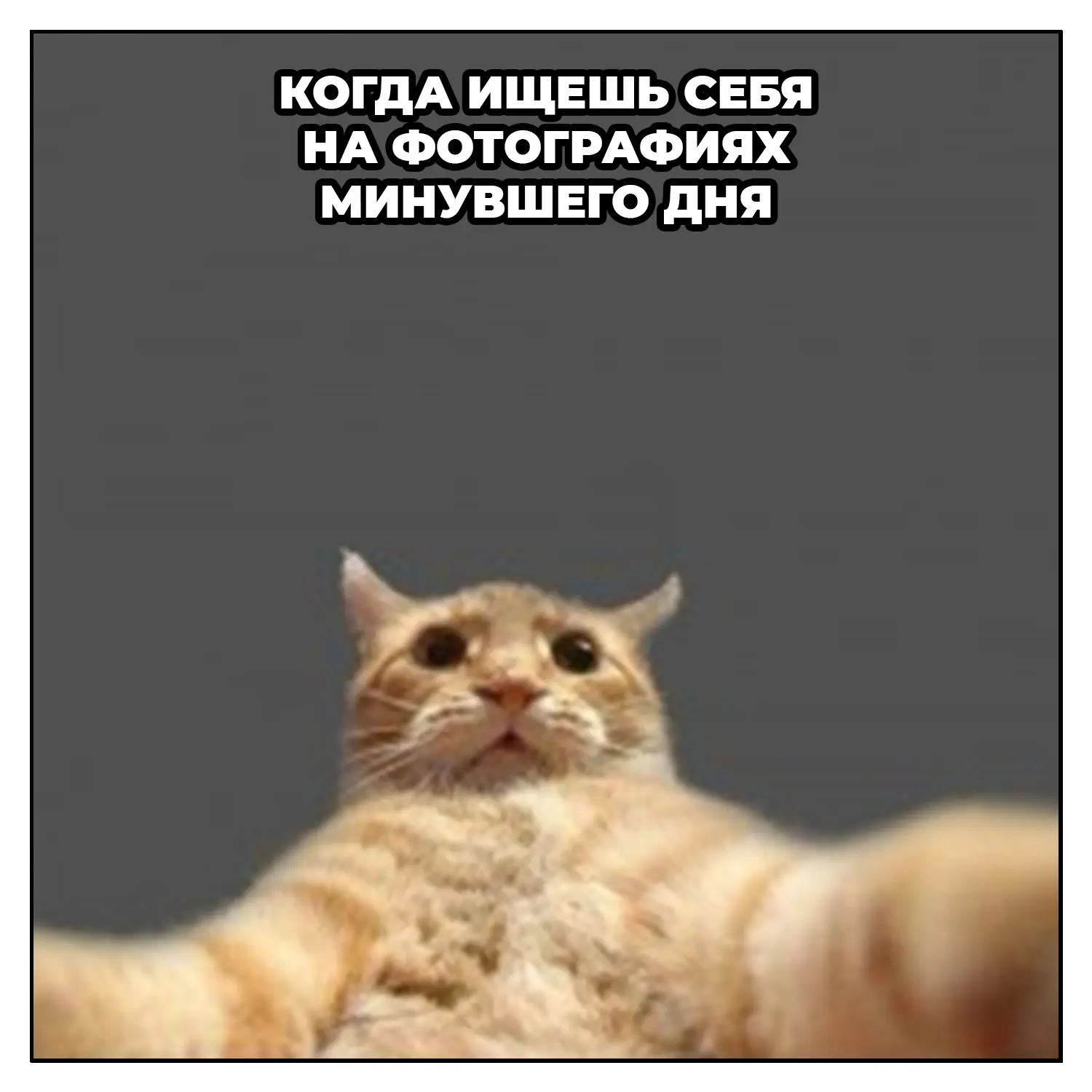 Арт.Молодость, мемы и вы! 🪩