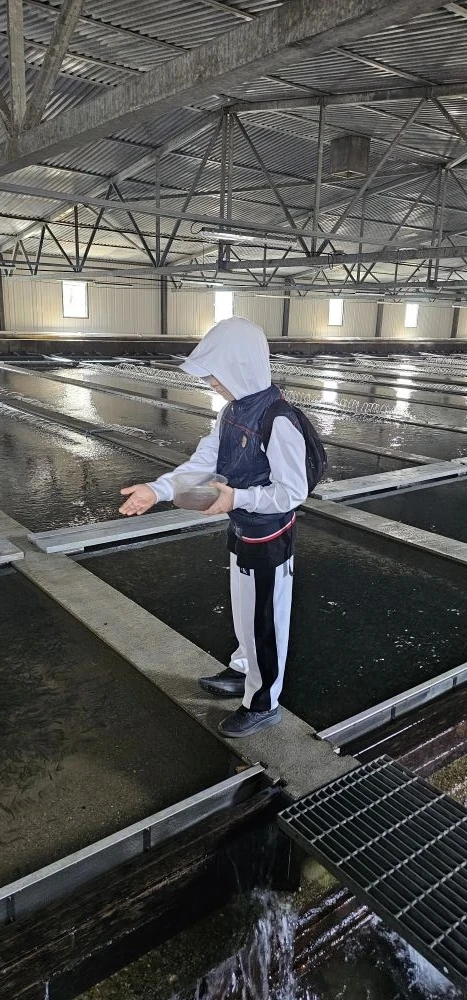🐟 Экскурсия к истокам жизни: 2 «М» класс на Охотском лососёвом рыбоводном заводе!  Сегодня для наших