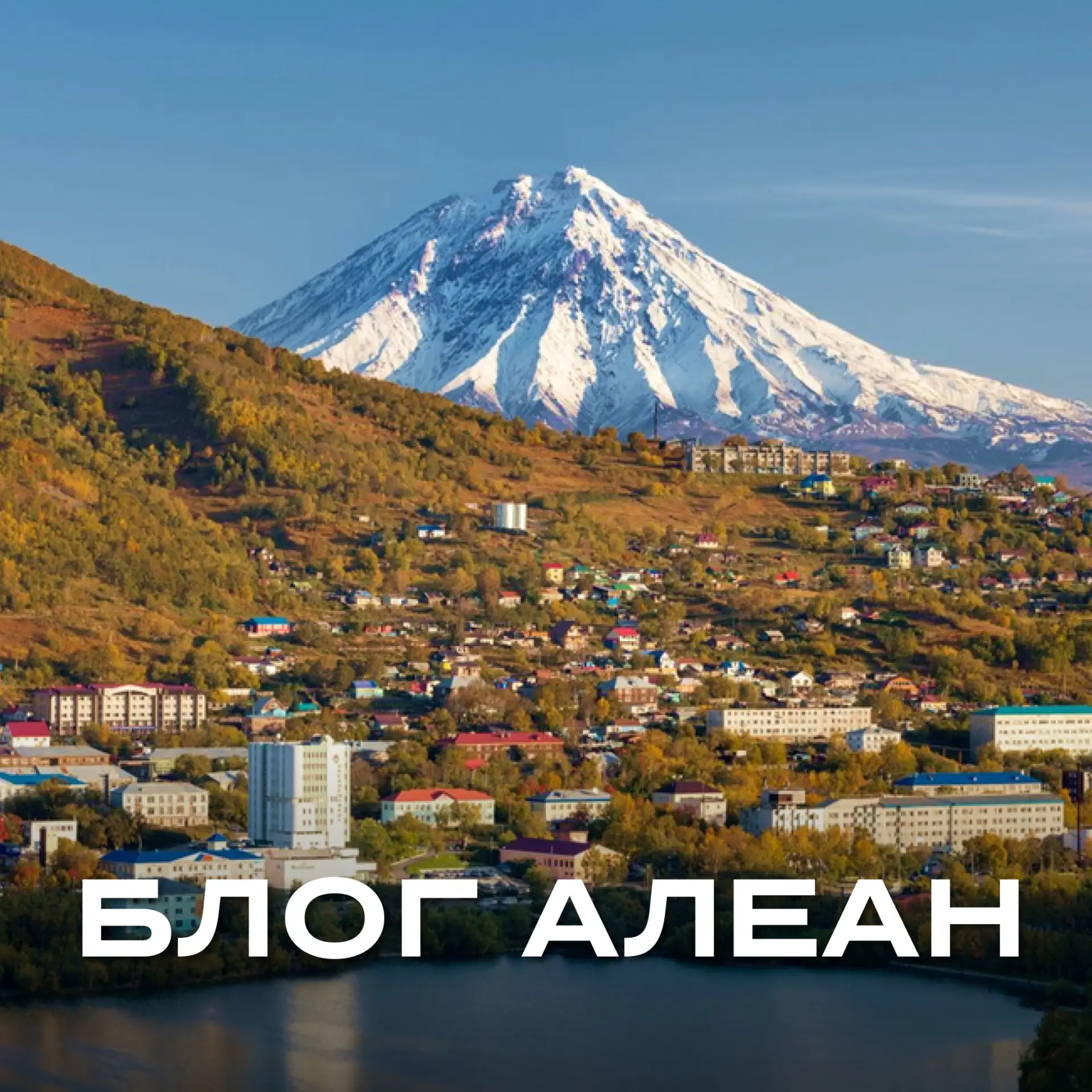 Наращиваем продажи осенью!