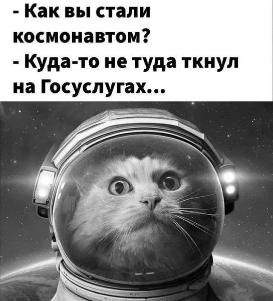 Друзья мои, этот мем про меня. Сейчас поясню.