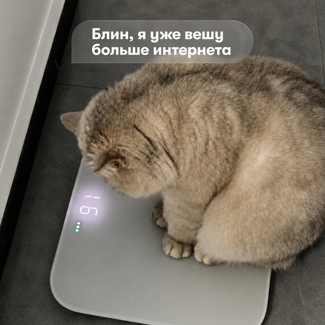 Изображение 1 к публикации «МегаФон»