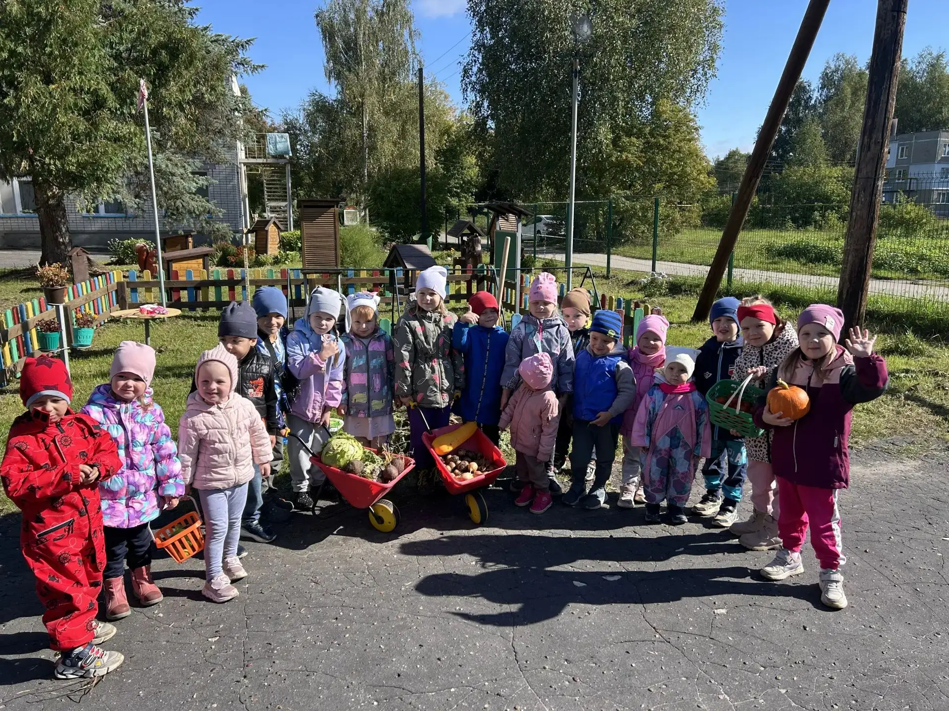 Собираем урожай вместе! 🥕🧅🥬🫑🥔🍅