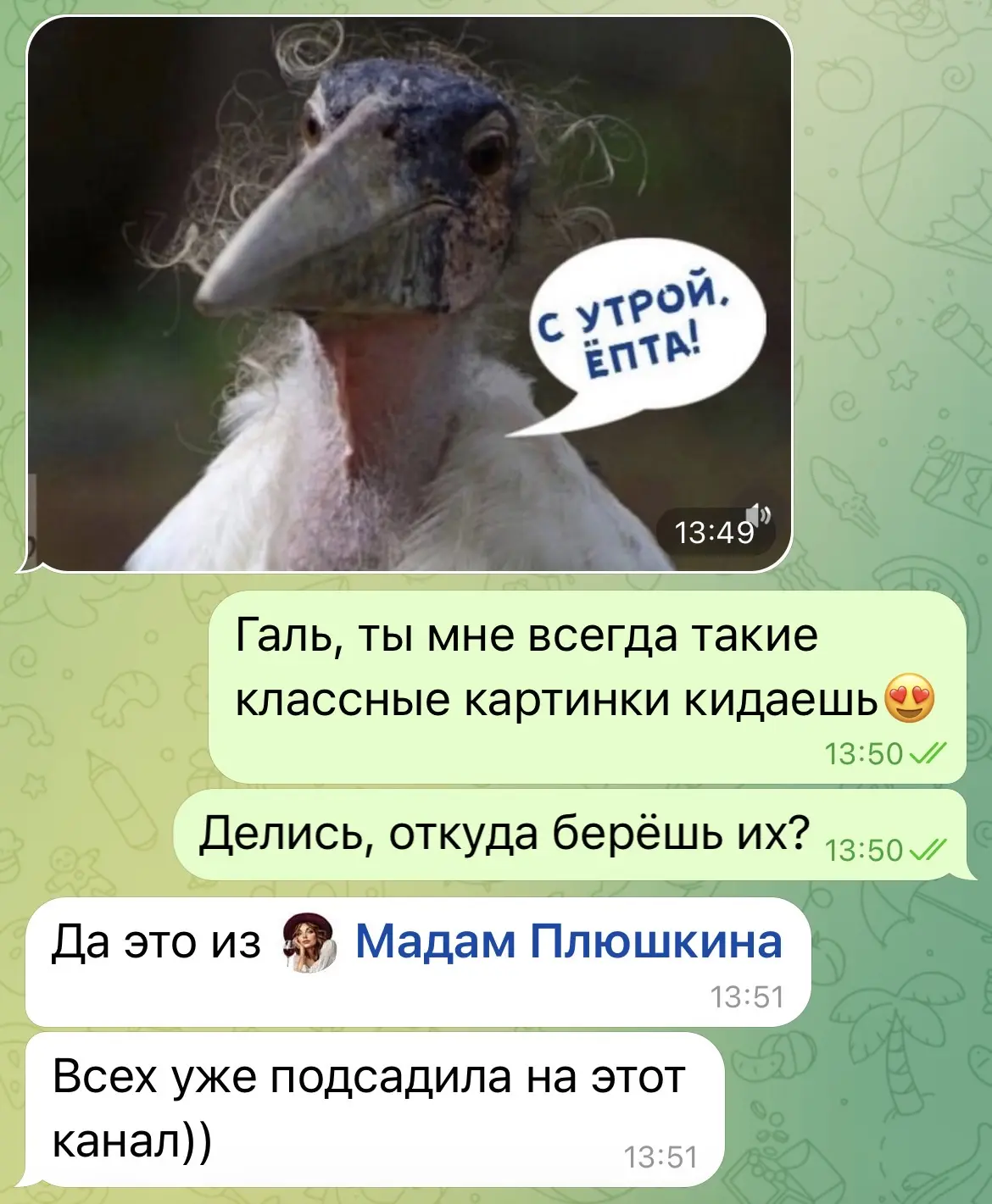 Подруга подсадила на канал, все картинки мне оттуда кидает😂👇