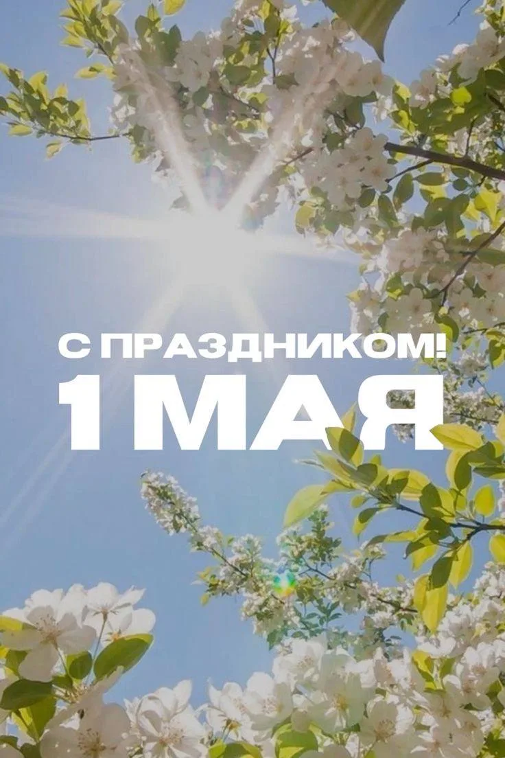 1 Мая международный праздник - День труда, который напоминает всем работникам об их правах. Именно б