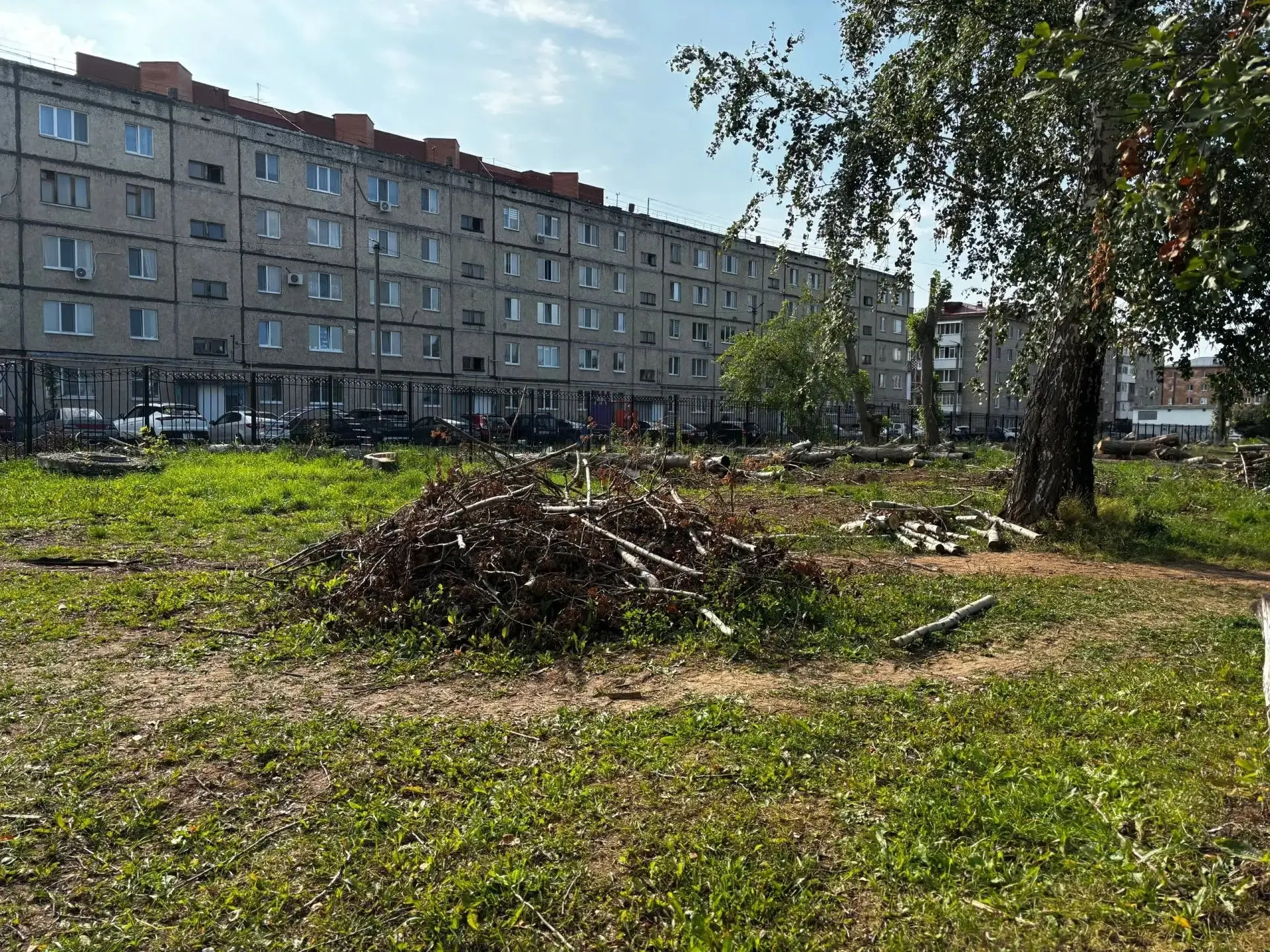Еще в июле месяце во дворе 7 школы срубили деревья, и то не до конца. Сегодня уже 24 ав...