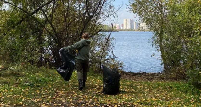 Челябинский городской бор освободили от мусора и восстановили МАФы
