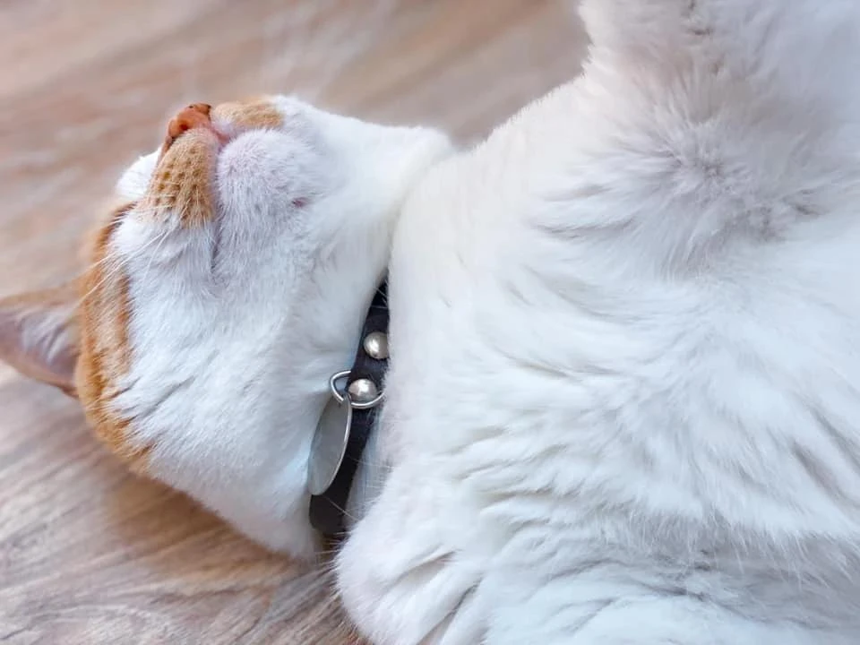 😻Первую пятничную планерку после отпуска провожу так.
