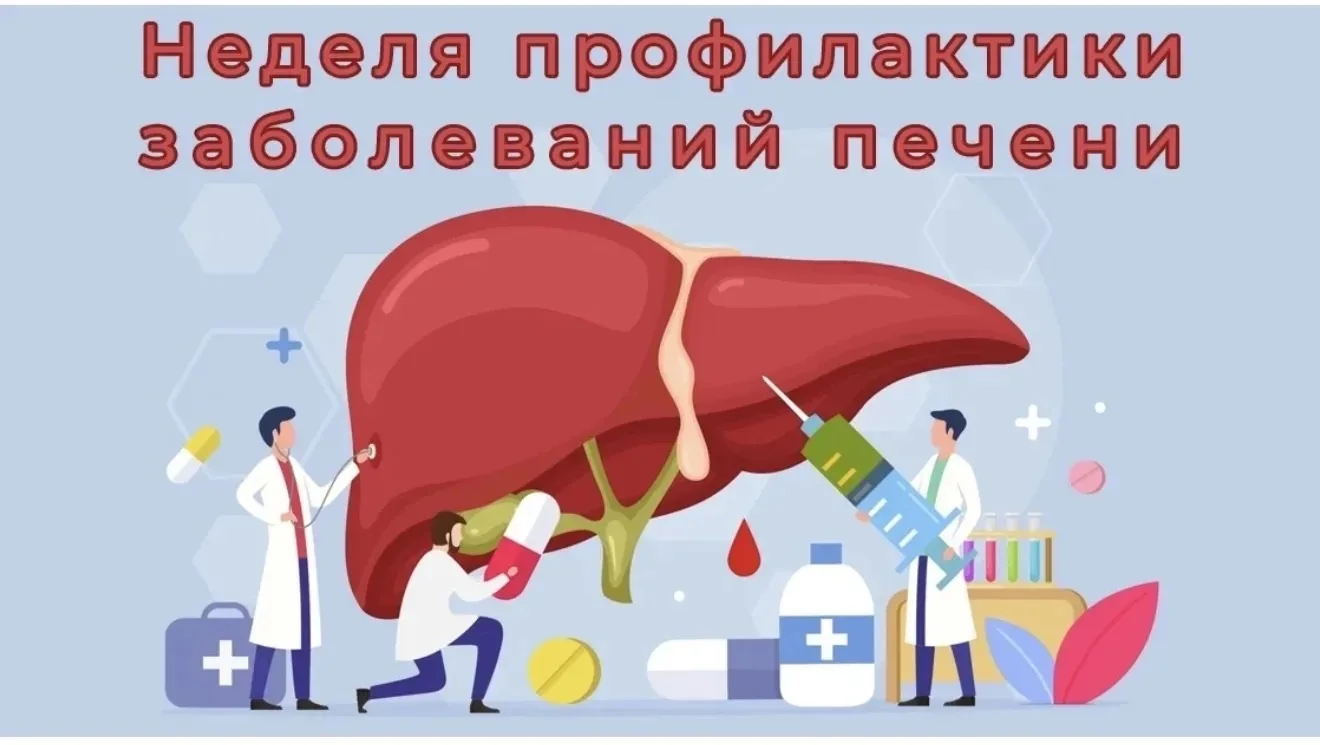 💫«Неделя профилактики заболеваний печени: бережём главный фильтр организма»

👩🏼‍⚕️🧑🏽‍⚕️Печень —