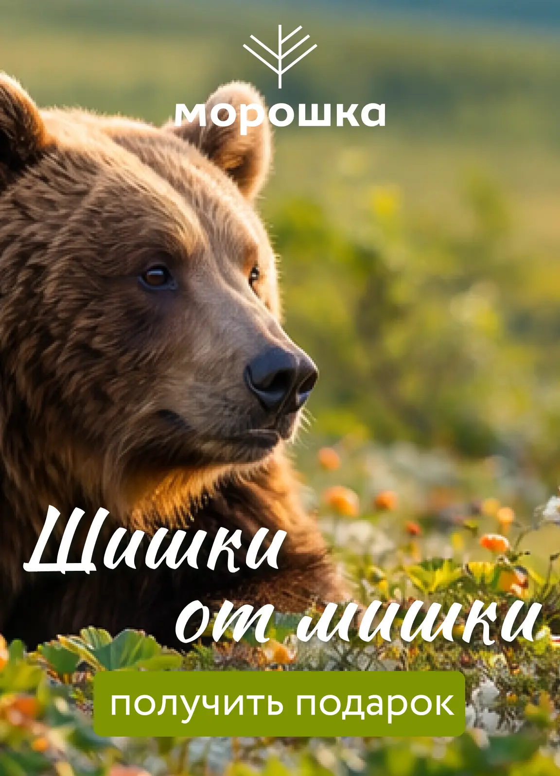 20 марта во всём мире отмечается День Земли - важный праздник, цель которого привлечь о...