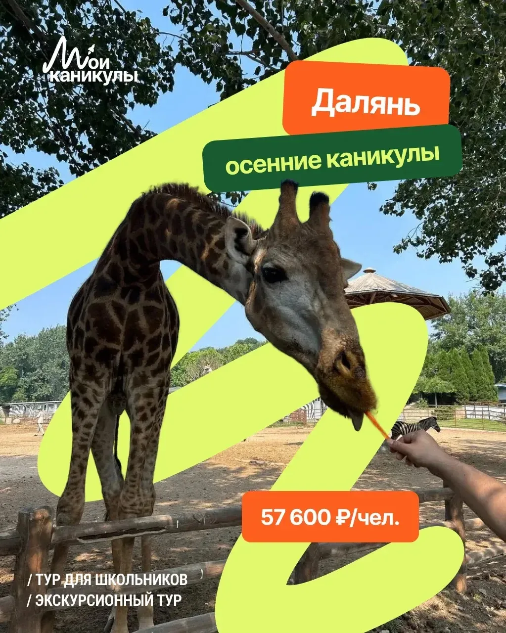 Осенние каникулы в Даляне — приключение, которое запомнится надолго!