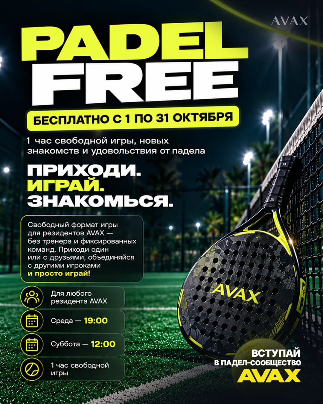 🎾 PADEL FREE